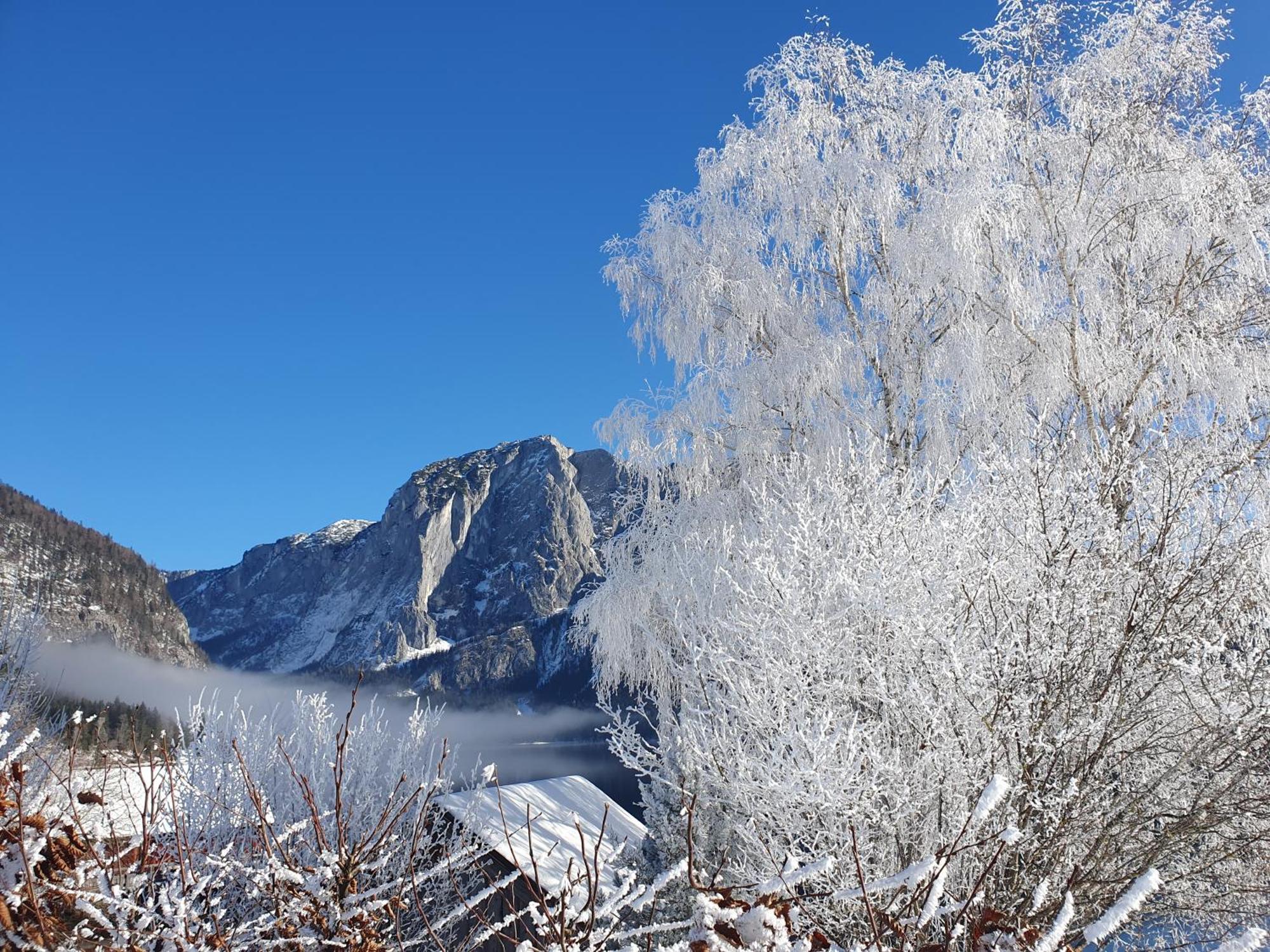 Refugium Bad Ischl Διαμέρισμα Εξωτερικό φωτογραφία